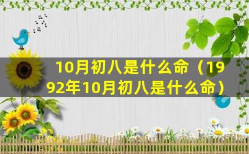 10月初八是什么命（1992年10月初八是什么命）