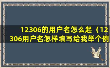 12306的用户名怎么起（12306用户名怎样填写给我举个例子）