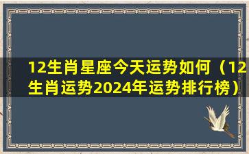 12生肖星座今天运势如何（12生肖运势2024年运势排行榜）