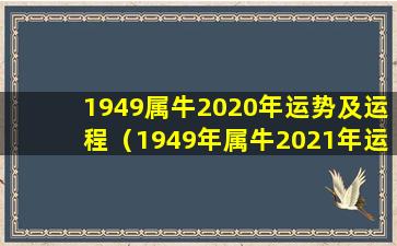 1949属牛2020年运势及运程（1949年属牛2021年运势及运程每月运程）