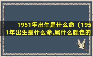 1951年出生是什么命（1951年出生是什么命,属什么颜色的兔）