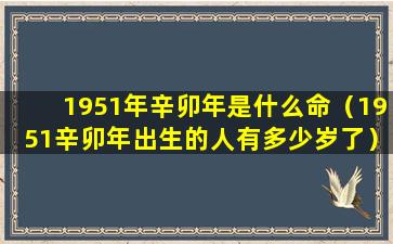 1951年辛卯年是什么命（1951辛卯年出生的人有多少岁了）