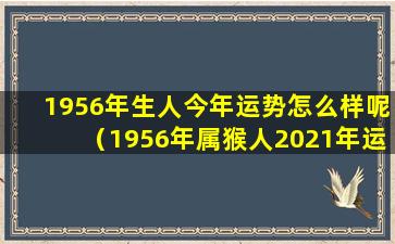 1956年生人今年运势怎么样呢（1956年属猴人2021年运势）