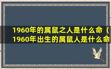 1960年的属鼠之人是什么命（1960年出生的属鼠人是什么命）