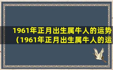 1961年正月出生属牛人的运势（1961年正月出生属牛人的运势怎么样）