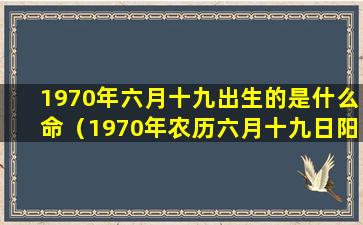 1970年六月十九出生的是什么命（1970年农历六月十九日阳历是几号）