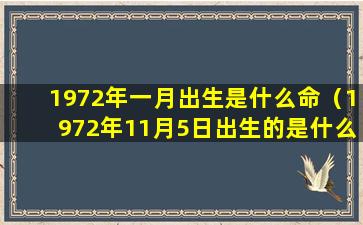 1972年一月出生是什么命（1972年11月5日出生的是什么命）