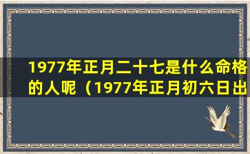 1977年正月二十七是什么命格的人呢（1977年正月初六日出生的是什么命）