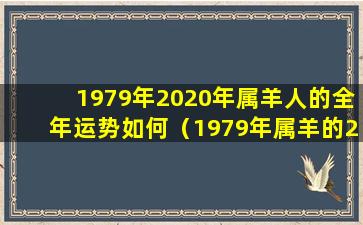 1979年2020年属羊人的全年运势如何（1979年属羊的2020年运势每月运势）