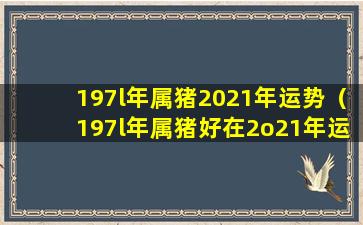 197l年属猪2021年运势（197l年属猪好在2o21年运气如何）