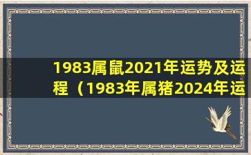 1983属鼠2021年运势及运程（1983年属猪2024年运势及运程详解）