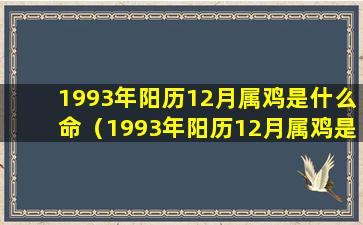 1993年阳历12月属鸡是什么命（1993年阳历12月属鸡是什么命格）