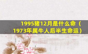 1995猪12月是什么命（1973年属牛人后半生命运）