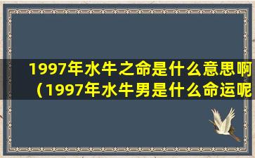 1997年水牛之命是什么意思啊（1997年水牛男是什么命运呢）