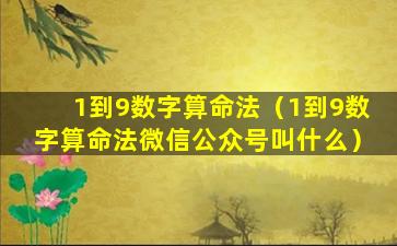 1到9数字算命法（1到9数字算命法微信公众号叫什么）