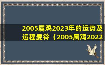 2005属鸡2023年的运势及运程麦铃（2005属鸡2022年运势及运程每月运势）