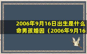 2006年9月16日出生是什么命男孩婚因（2006年9月16日出生的男孩学业怎么样）