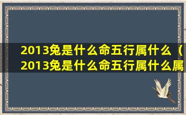 2013兔是什么命五行属什么（2013兔是什么命五行属什么属性）