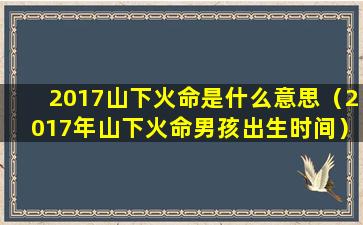 2017山下火命是什么意思（2017年山下火命男孩出生时间）