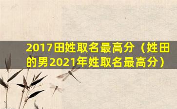 2017田姓取名最高分（姓田的男2021年姓取名最高分）