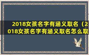 2018女孩名字有涵义取名（2018女孩名字有涵义取名怎么取）