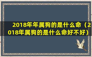 2018年年属狗的是什么命（2018年属狗的是什么命好不好）