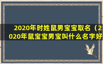 2020年时姓鼠男宝宝取名（2020年鼠宝宝男宝叫什么名字好）