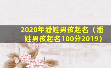 2020年潘姓男孩起名（潘姓男孩起名100分2019）