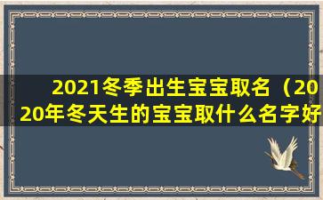 2021冬季出生宝宝取名（2020年冬天生的宝宝取什么名字好）