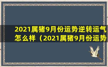 2021属猪9月份运势逆转运气怎么样（2021属猪9月份运势逆转运气怎么样呢）