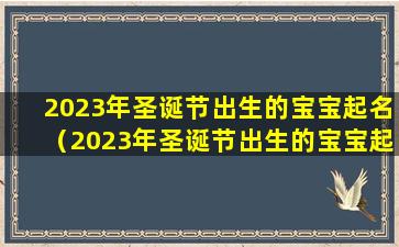 2023年圣诞节出生的宝宝起名（2023年圣诞节出生的宝宝起名叫什么）