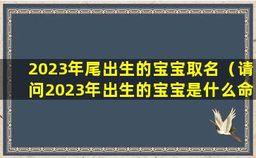 2023年尾出生的宝宝取名（请问2023年出生的宝宝是什么命）