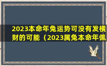 2023本命年兔运势可没有发横财的可能（2023属兔本命年佩戴什么最好）