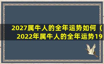 2027属牛人的全年运势如何（2022年属牛人的全年运势1973）