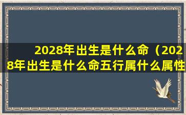 2028年出生是什么命（2028年出生是什么命五行属什么属性）