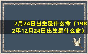 2月24日出生是什么命（1982年12月24日出生是什么命）