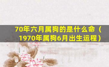 70年六月属狗的是什么命（1970年属狗6月出生运程）