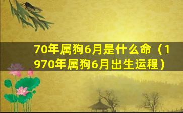 70年属狗6月是什么命（1970年属狗6月出生运程）