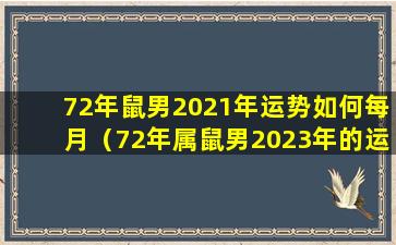 72年鼠男2021年运势如何每月（72年属鼠男2023年的运程和每月运势）