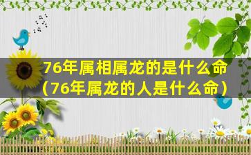 76年属相属龙的是什么命（76年属龙的人是什么命）