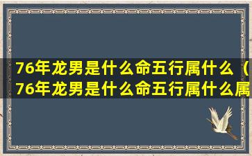 76年龙男是什么命五行属什么（76年龙男是什么命五行属什么属性）