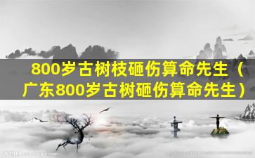 800岁古树枝砸伤算命先生（广东800岁古树砸伤算命先生）