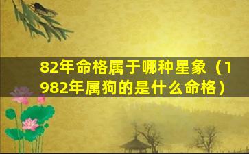 82年命格属于哪种星象（1982年属狗的是什么命格）