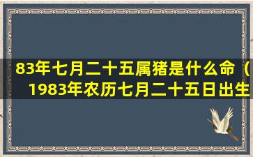 83年七月二十五属猪是什么命（1983年农历七月二十五日出生命运）