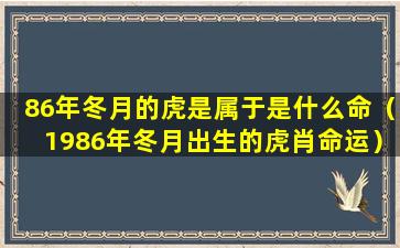 86年冬月的虎是属于是什么命（1986年冬月出生的虎肖命运）