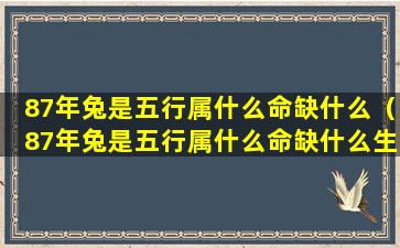 87年兔是五行属什么命缺什么（87年兔是五行属什么命缺什么生肖）