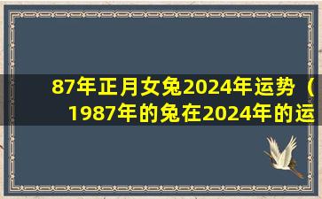 87年正月女兔2024年运势（1987年的兔在2024年的运势怎么样）