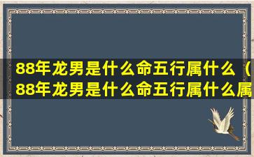 88年龙男是什么命五行属什么（88年龙男是什么命五行属什么属性）