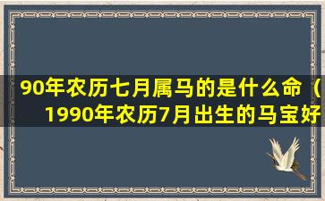 90年农历七月属马的是什么命（1990年农历7月出生的马宝好不好）