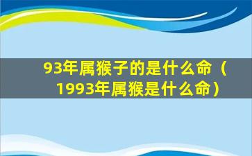 93年属猴子的是什么命（1993年属猴是什么命）